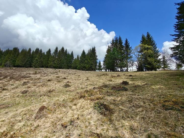 Teren intravilan, 1500 mp, Dealu Botii, com Belis, Comision 0