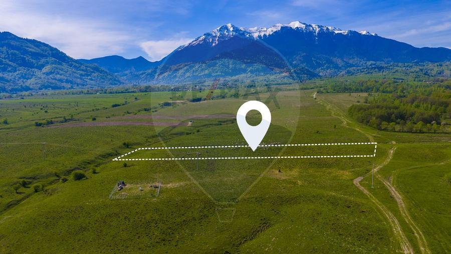 Teren 1ha, extravilan Rasnov / Agricultură sau fermă/ COMISION 0%