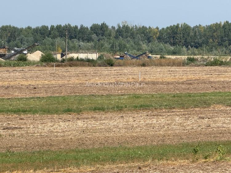 vand teren autostrada Bucurest Pitesti A1 30000 mp (3ha) cu deschidere la A1