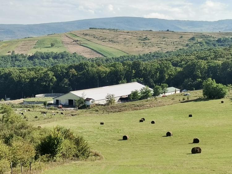 Ferma Zootehnica la standarde Europene