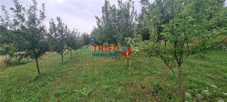 Teren de vanzare, 1785 mp in Paclisa cu utilitati - 3