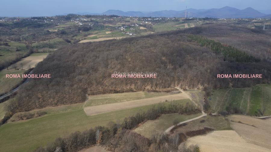 Teren superb de vânzare în Dumbrăvița – 3.750 mp - 6