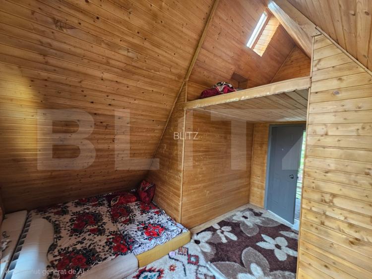 Cabană autentică cu 4565 mp teren, Liniste si Confort, Avram Iancu - 13