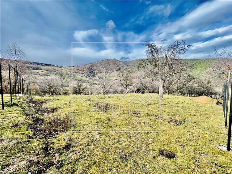 Teren extravilan de 799 mp - zona pitoreasca - Rasinari