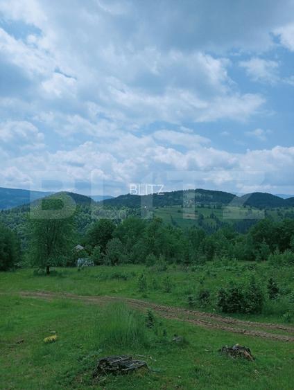 Teren intravilan de vânzare, 30.121 mp, Trâncești, Scărișoara - 2