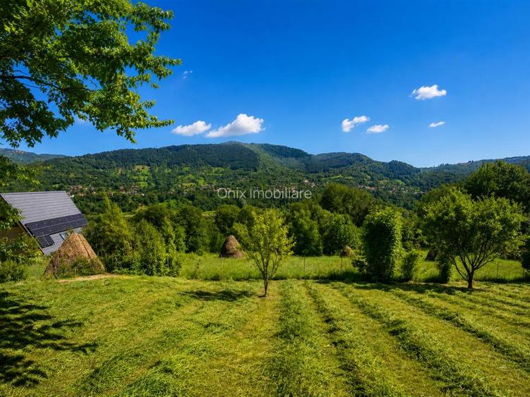 Vila deosebita cu 7 camere si 5 bai, 4290 mp teren, vedere panoramica – Valea Do - 3