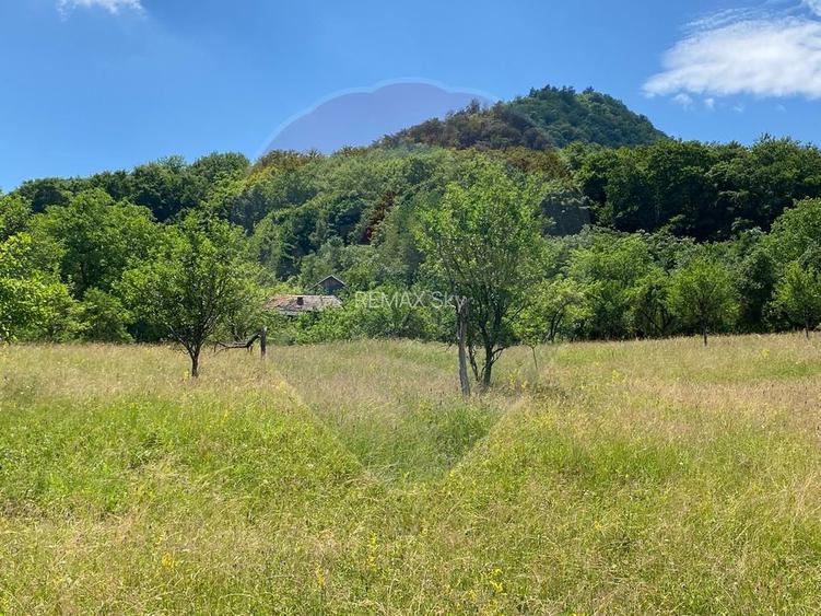 Teren intravilan 12.458 mp în Văleni (Meteș) - 3