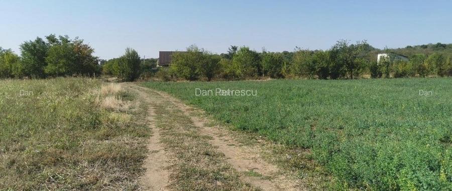 Vand 4 Loturi de teren langa A0 pod Domnesti - 7