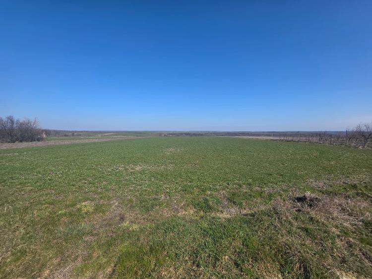 Teren de vanzare, 3800 mp, zona Mischii sat Gogosesti