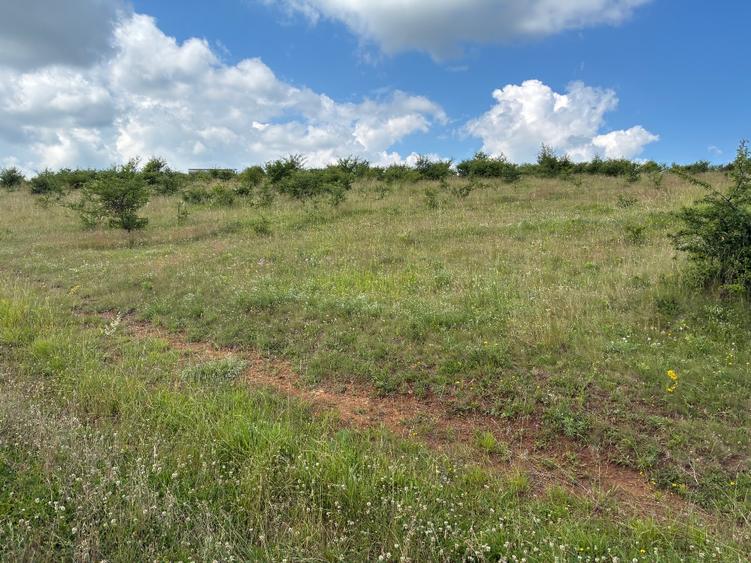Vand teren in localitatea Salicea extravilan 974 MP
