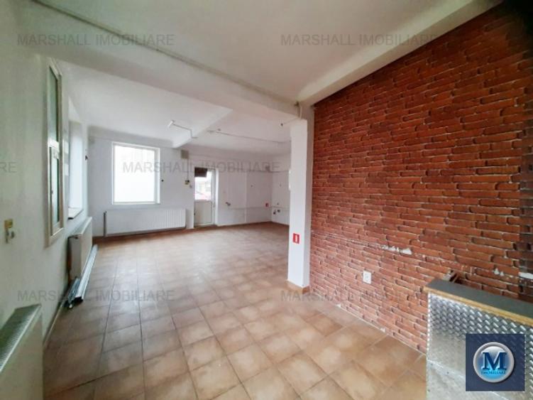 Vila cu 11 camere de vanzare, zona Gheorghe Doja, 237.7 mp #16106