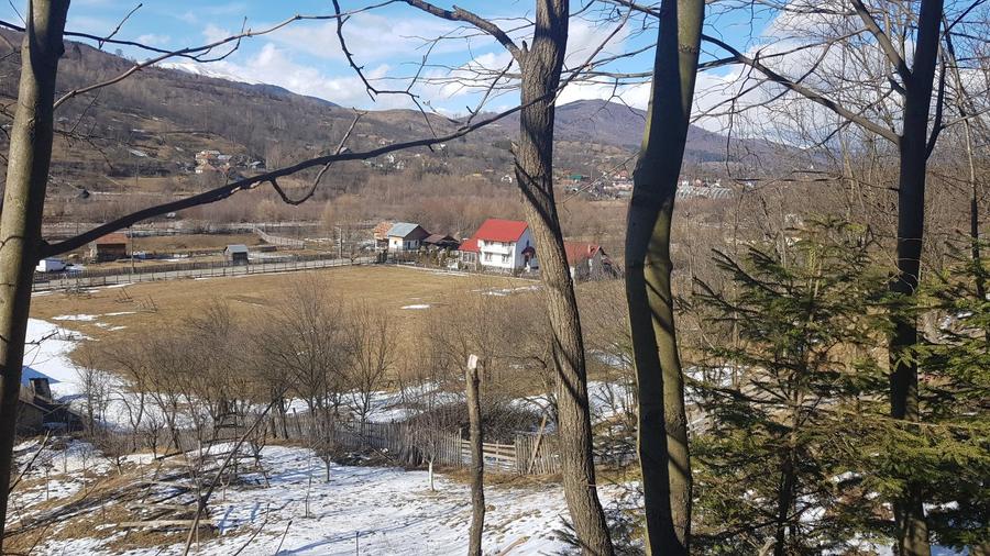Teren de 10200mp,intravilan , cu deschidere la asfalt