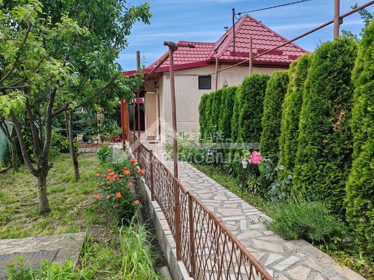 Casa individuala, 100 mp utili, 242 mp teren, Str. Trandafirilor - 4
