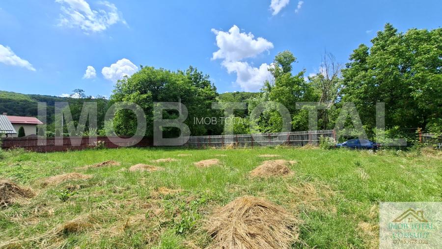 Casă cărămidă renovată, 3 camere, teren 1100 mp – Băjești, Argeș - 4
