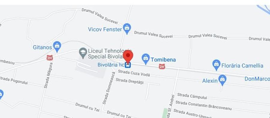 Casă/vilă 4 camere, SUCEAVA, BIVOLARIE