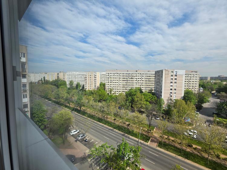 Camil Ressu Park Lake