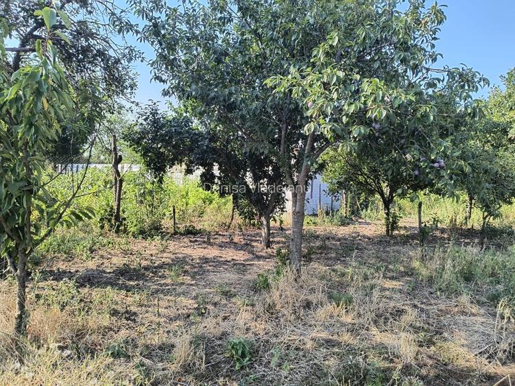 Casa de poveste si gradina 1550mp aproape de Craiova - 3