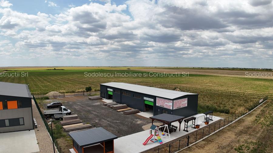 Hală industrială nouă de vânzare – Becicherecu Mic, Tims - 3