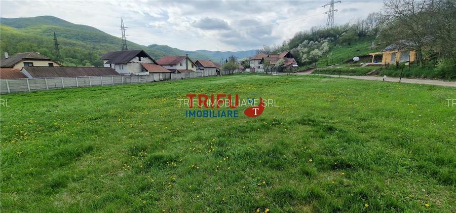 Teren de vis la liziera pădurii – liniște, natură și aer cur - 4