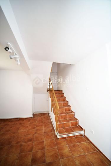 Aroneanu - Sorogari, proprietate excelent pozitionata, de vanzare - 11