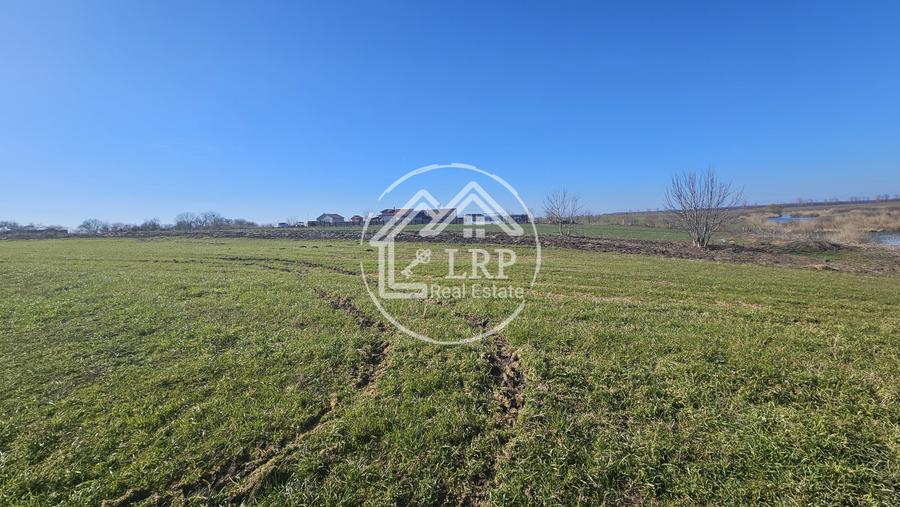 Loturi de Casa pe malul Lacului Creața, Dascălu – 460 mp + Drum servitute