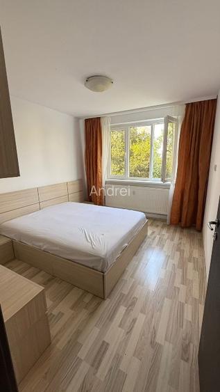 Proprietar, Drumul Taberei, Valea Argesului, Aleea Parva - 3