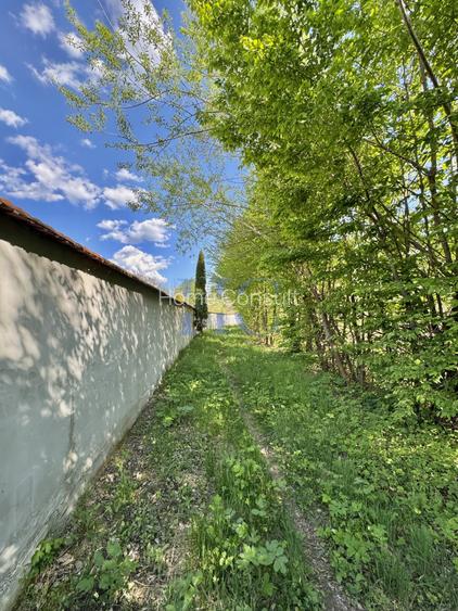 Teren de vânzare – Valea Avrigului, jud. Sibiu | 1.600 mp - 2