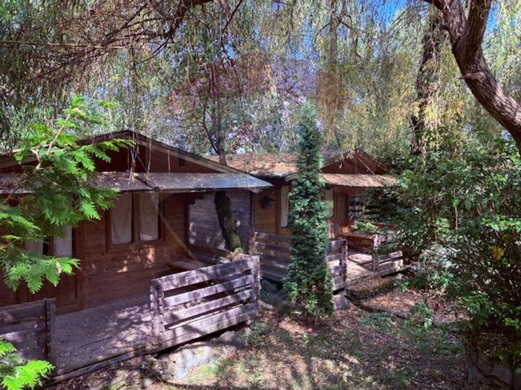 Ansamblu de 7 Căsuțe de Vacanță, Ocna Șugatag
