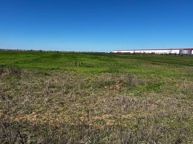 Investitie | Logistica | Productie | 23600 mp | Centura Bucuresti |