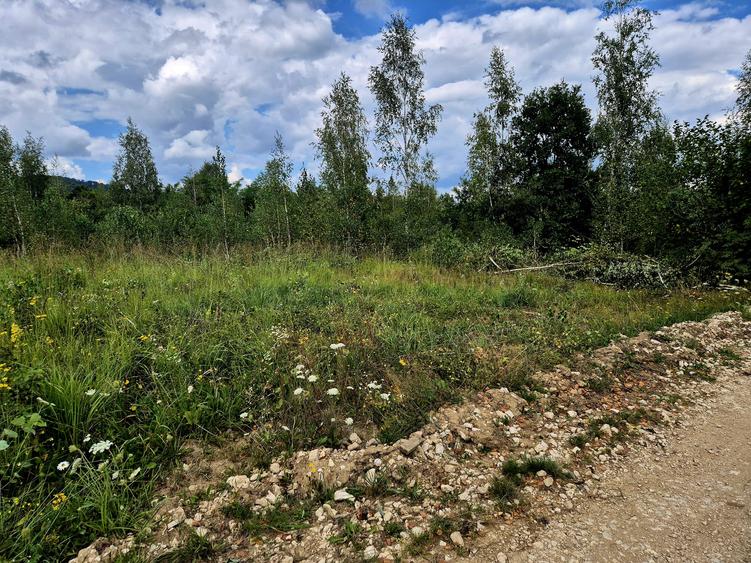 Cabana in mijlocul naturii/parau sezonier /locul de suflet la Sinca Noua/Brasov