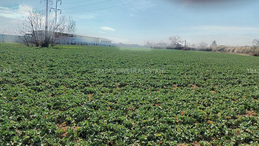 Ieftin, Băicoi-Liliești, vânzare  teren intravilan 7500mp, 4,5 e/mp, neg. - 9