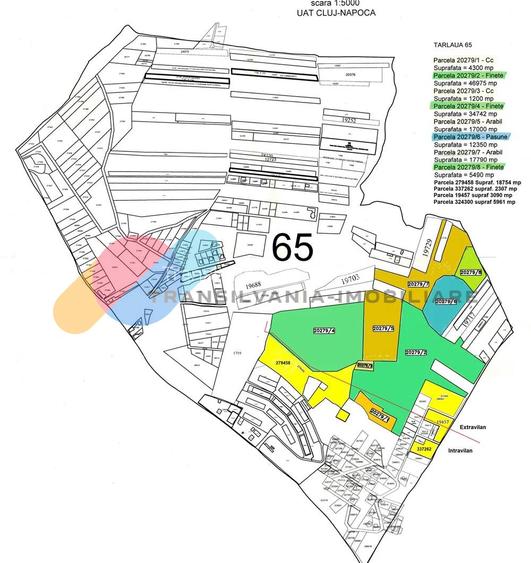 Teren intravilan 17Ha Valea Seaca - 2