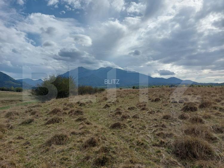 Teren de vanzare in Rasnov zona Glejerie, 10.000 mp - 5
