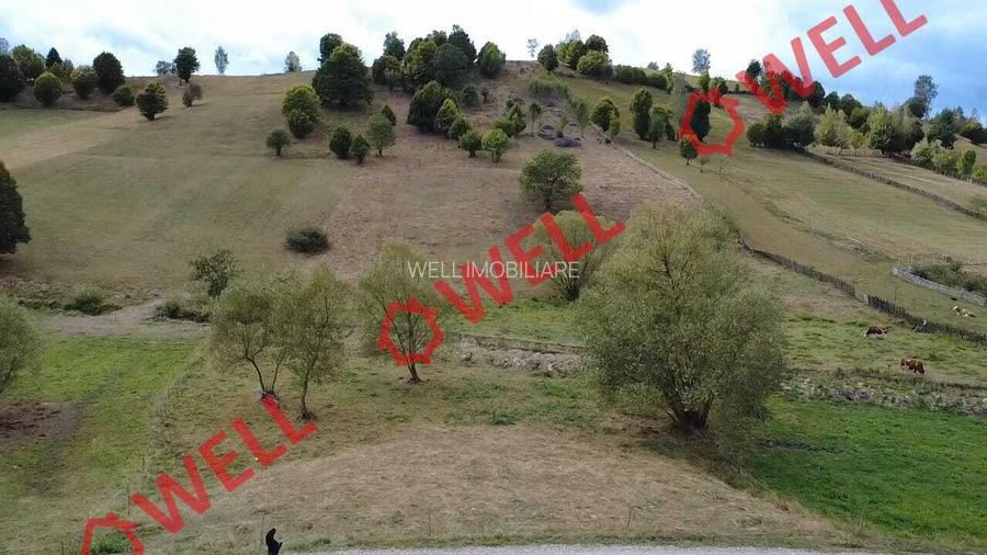 Teren de vânzare în Barcani, zona Nadeș! - 8