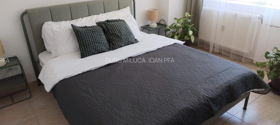 Inchiriere Apartament 2 camere Gara de Nord - 2