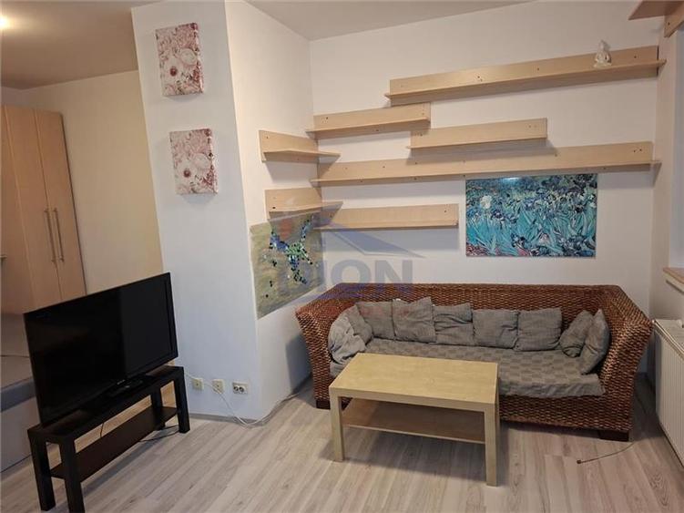 Studio spatios Brancusi