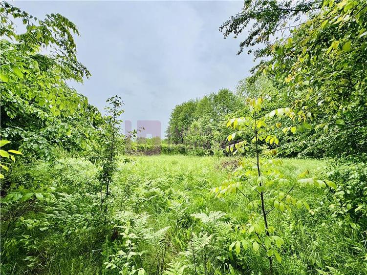Teren intravilan 1600 mp | Valea Avrigului | zona turistica