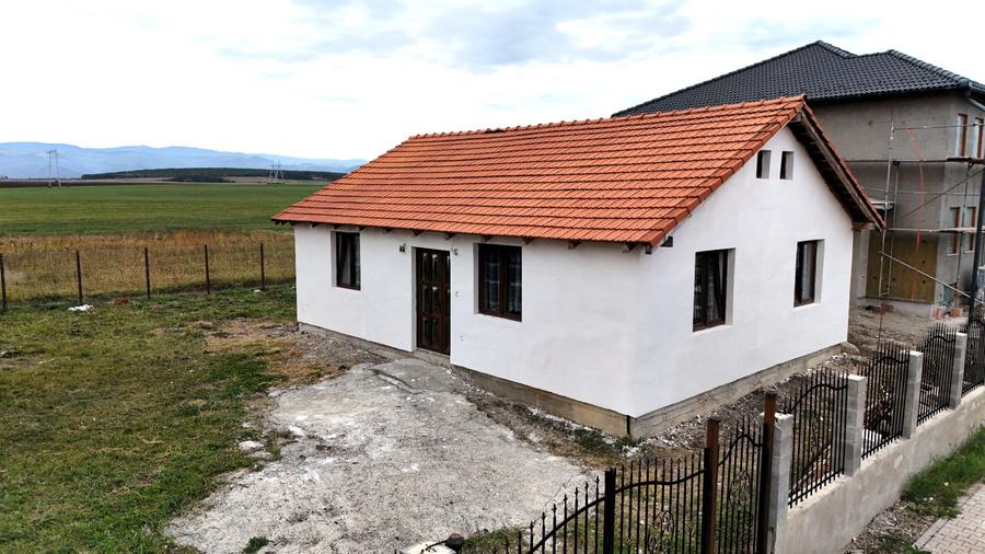 Casa 1 nivel 75mp Cartier Tineretului Sura Mica