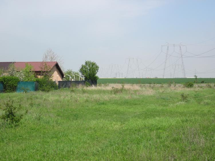 Domnesti-Crengutei