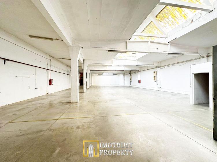 Hala industriala 675 mp, Arad central, acces TIR ideal depozit logitic