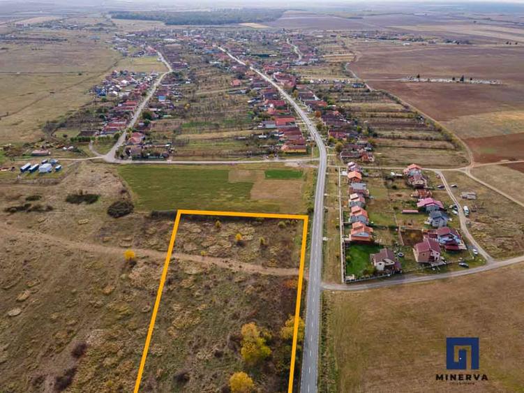 Teren pentru parcelare, 19000 mp, Pișchia, comision 0