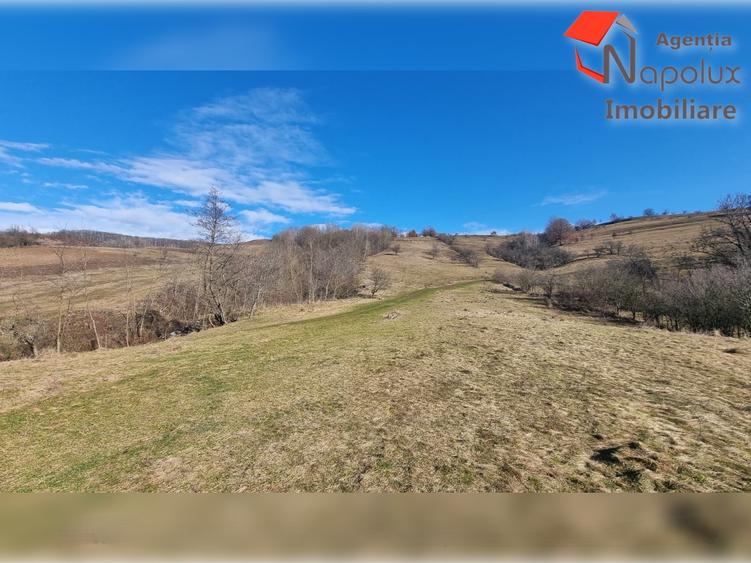 Teren de exceptie 3,1 ha intravilan | Panorama, utilitati, acces dublu | Sard