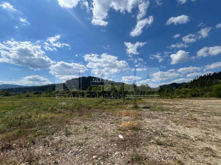 TEREN INTRAVILAN 2,26 HA | SUCEVITA | - 6