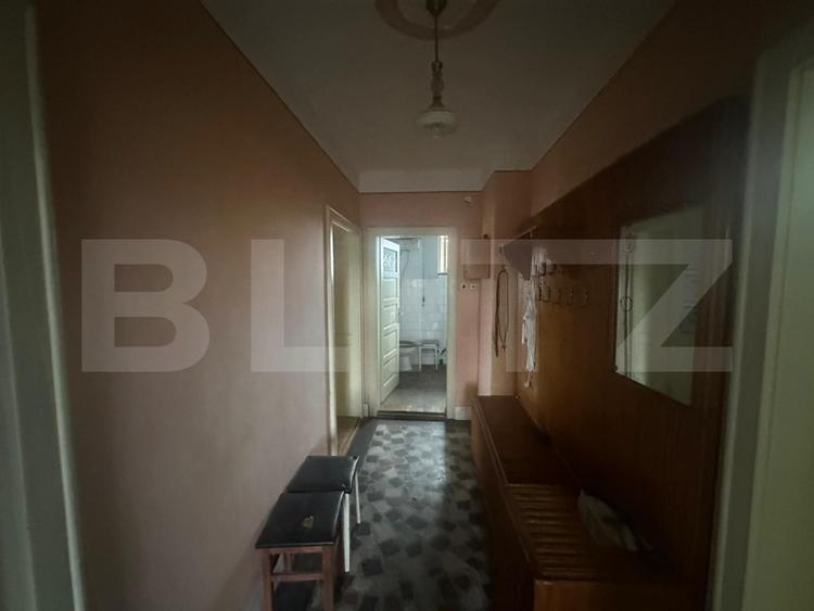 Casă cu teren generos de 6000 mp în Viile Satu Mare – zonă liniștită