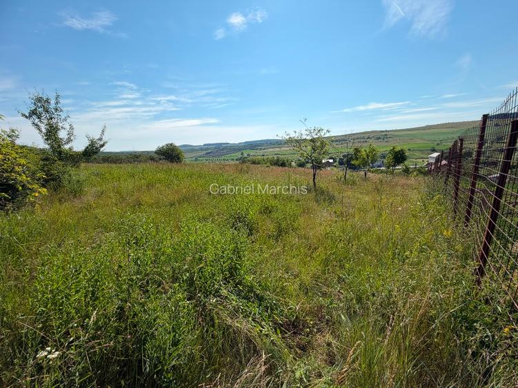 Teren intravilan 3.834 mp Babutiu | Panorama superba mai putin de 20 km de Cluj - 3