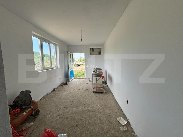 Hala, 230mp , zona Sud - 6