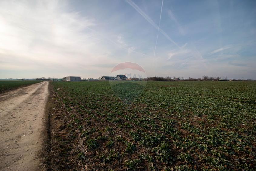 Teren Intravilan de vanzare 21000 mp Balotesti Central Soseaua Unirii