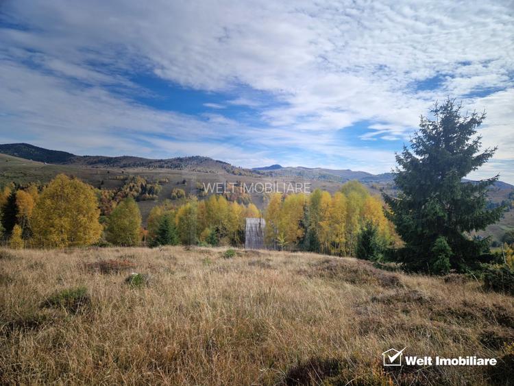 Teren de vanzare – Muntele Baisorii, 1000 mp, vedere spre rezervatia Belioara - 4