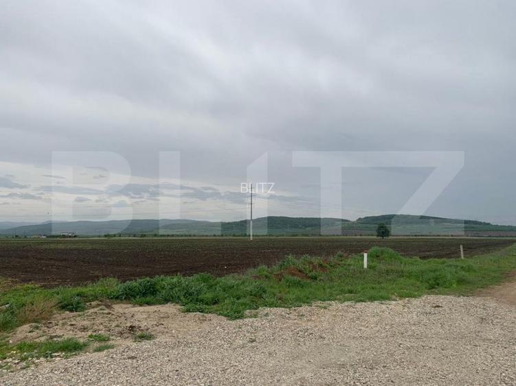 Teren intravilan, 41000 cu PUZ pentru hala, zona Alba-Sebes langa A1 - 2