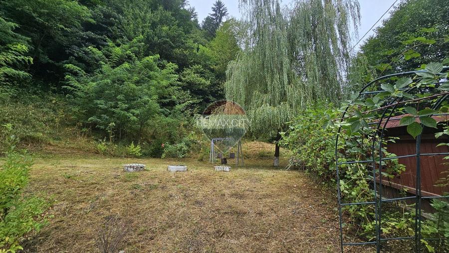 Căsuță de vacanță de vânzare – comuna Alexandru cel Bun, Neamț - 40